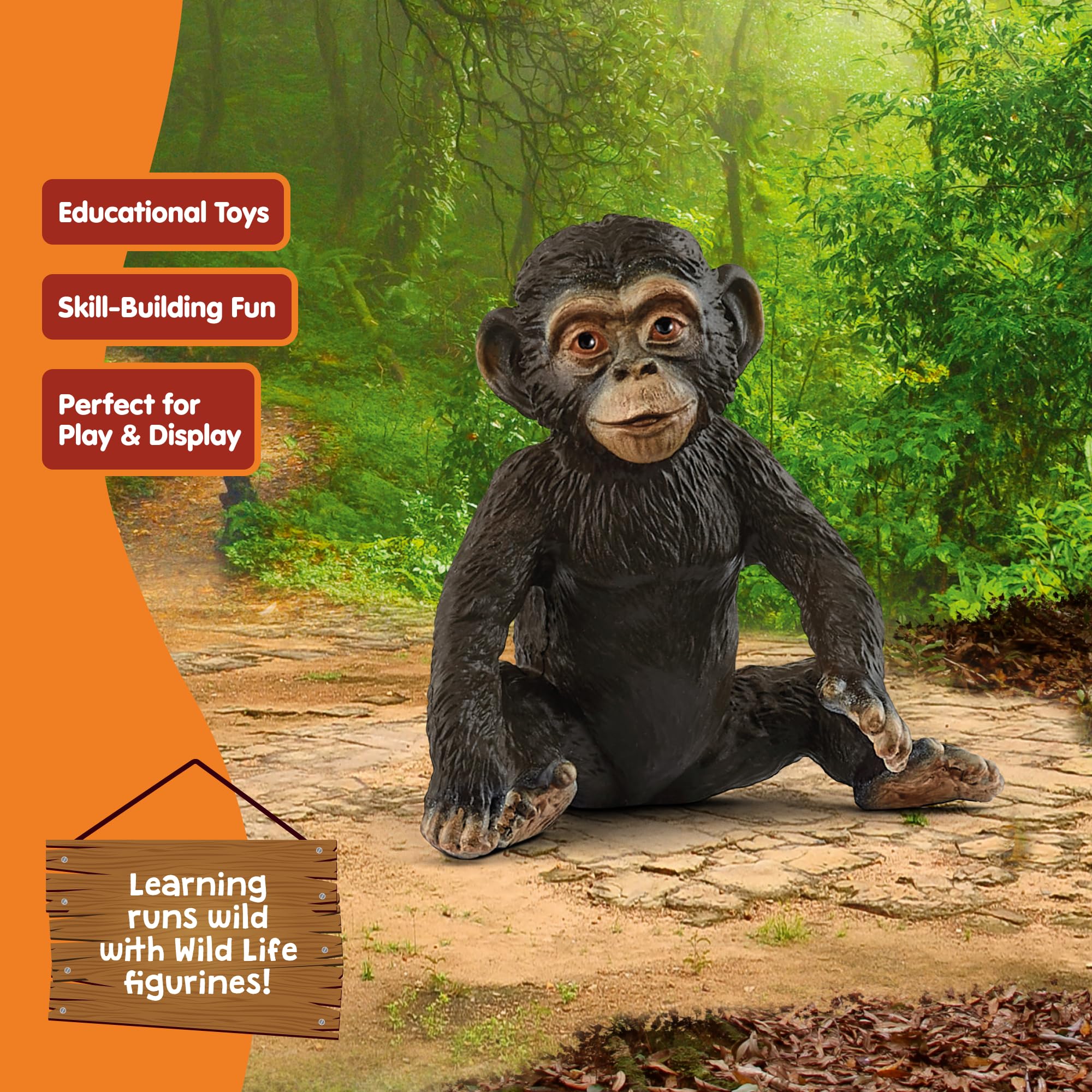 ヤマネとチンパンジー ヤマネとチンパンジー